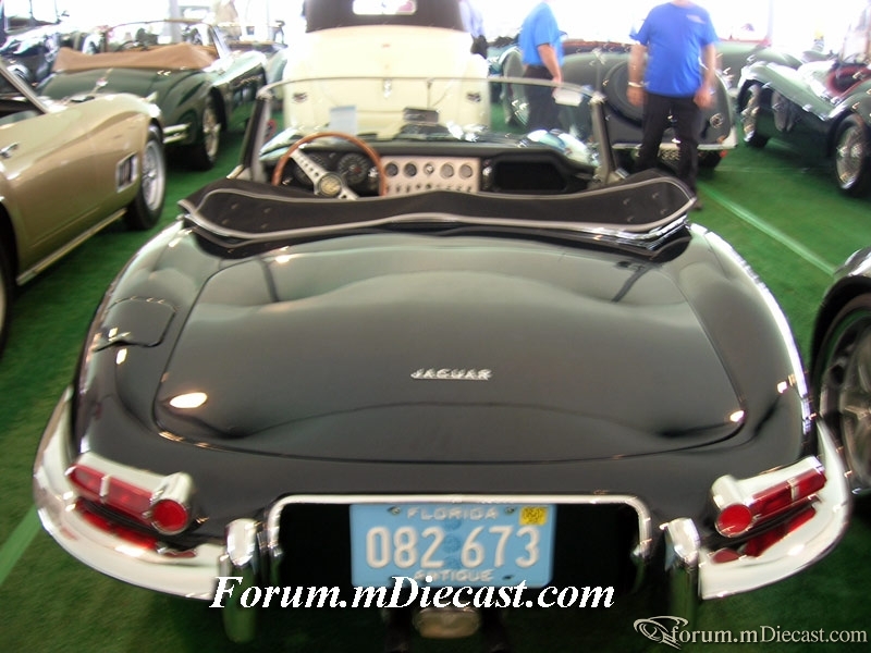 DSCN1650.jpg