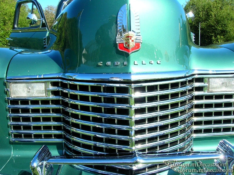 DSCN3034.jpg