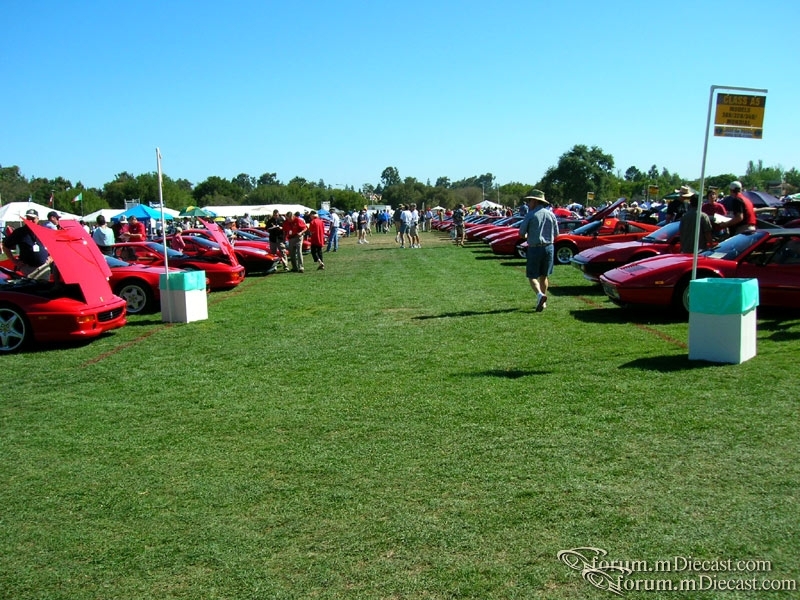 DSCN3065.jpg