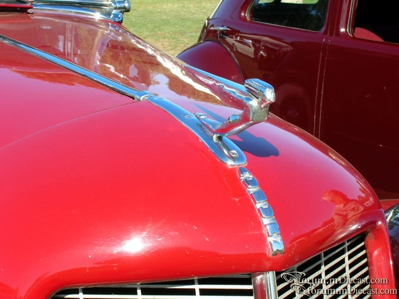 DSCN2955.jpg