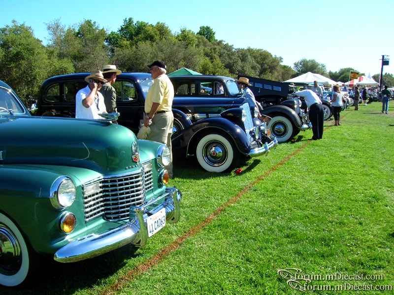 DSCN3031.jpg
