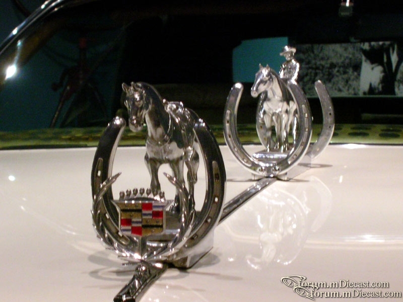 DSCN3227.jpg