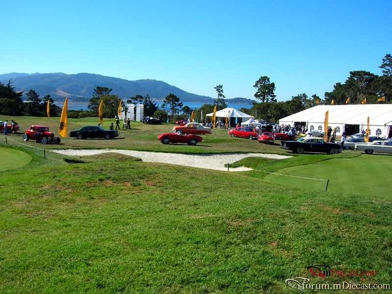 DSCN3533.jpg