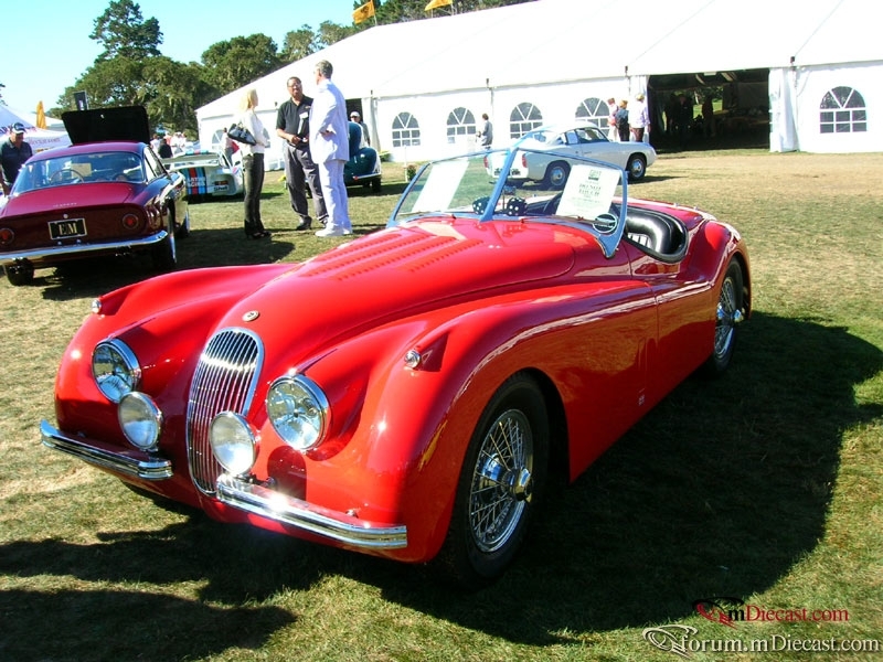 DSCN3567.jpg