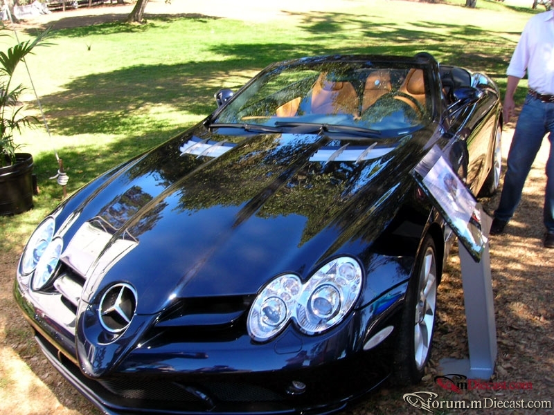 DSCN3676.jpg