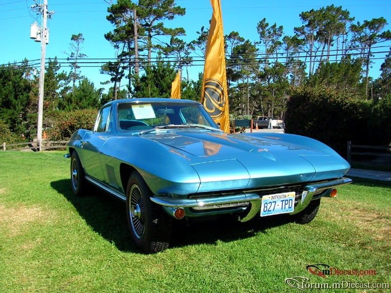 DSCN3535.jpg