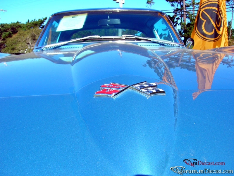 DSCN3536.jpg
