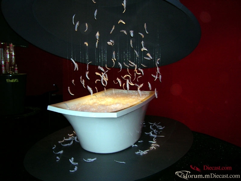 DSCN3514.jpg