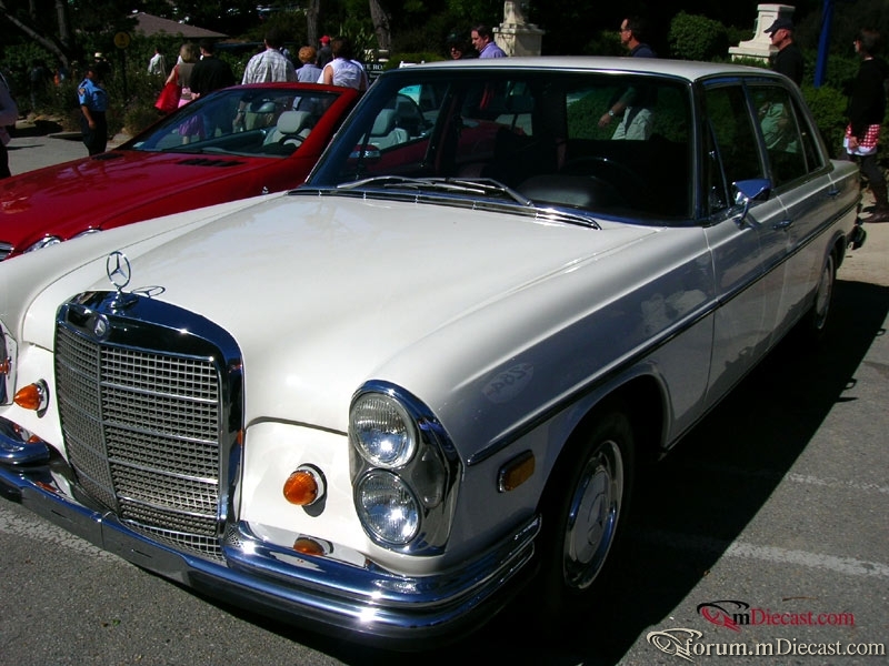 DSCN3701.jpg