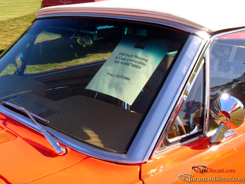 DSCN3551.jpg