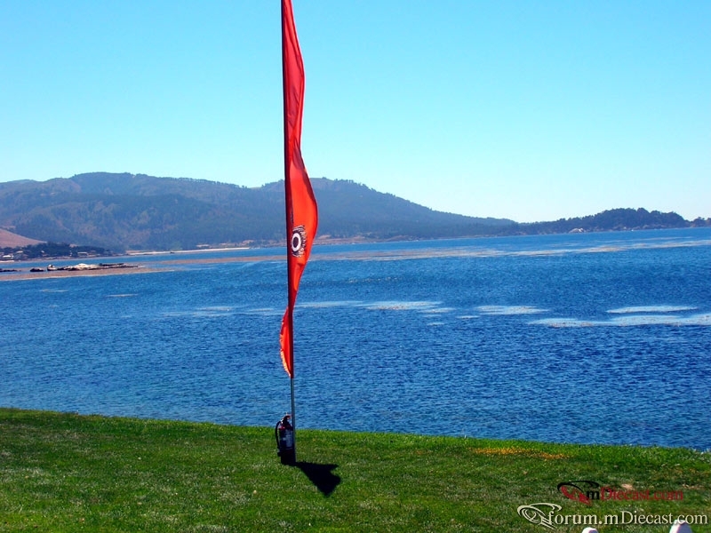 DSCN4229.jpg