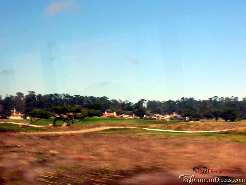 DSCN4471.jpg