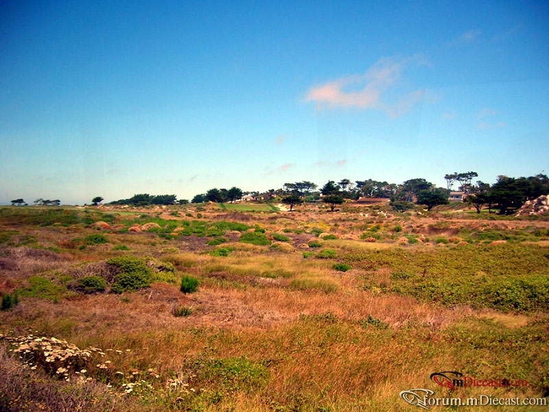 DSCN4472.jpg