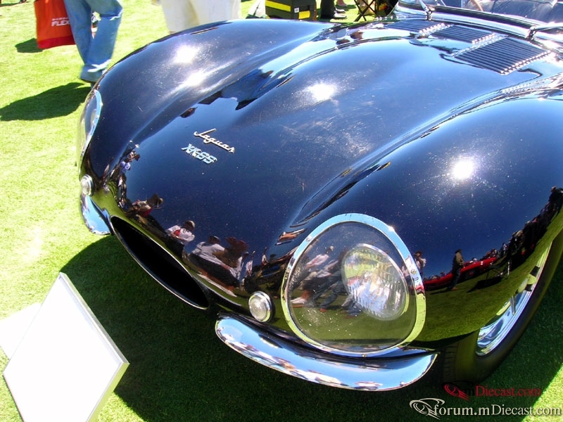 DSCN4302.jpg