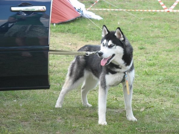 IMG_2287.JPG