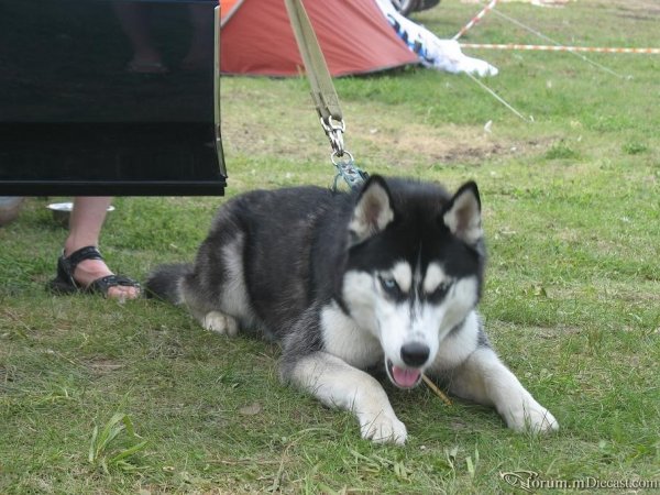 IMG_2289.JPG