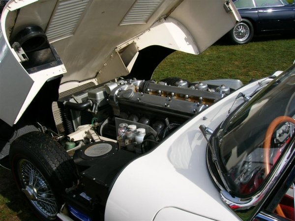 DSCN4892.JPG