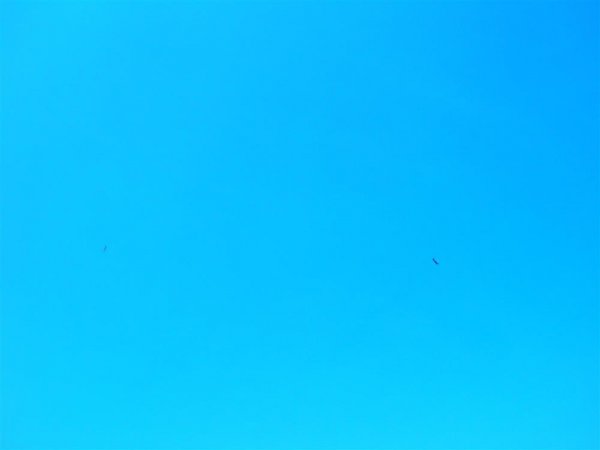 DSCN8025.JPG