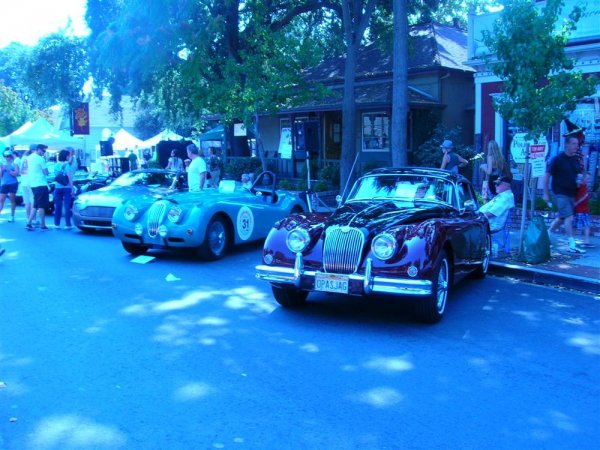 DSCN7982.JPG