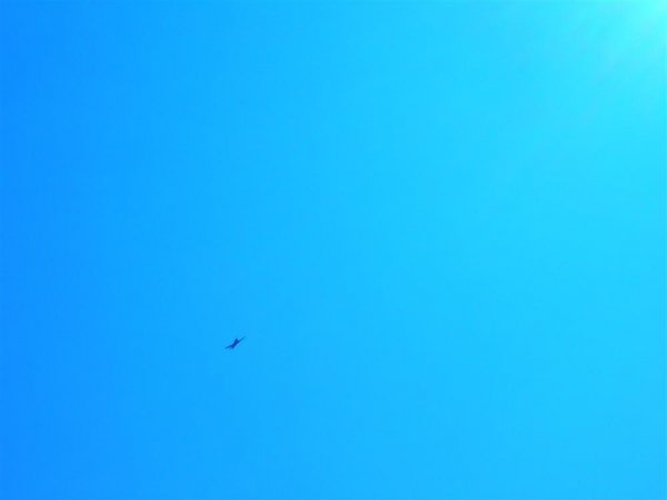 DSCN8026.JPG