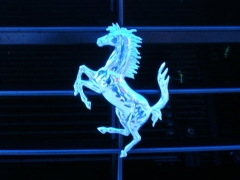 DSCN8060.JPG