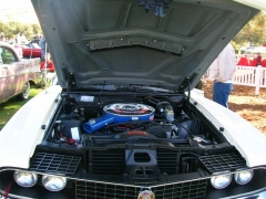DSCN8291.JPG