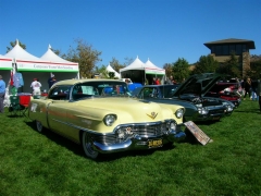 DSCN8275.JPG
