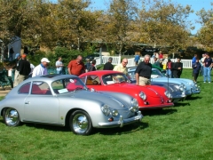 DSCN8251.JPG