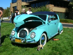 DSCN8322.JPG