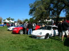 DSCN8247.JPG