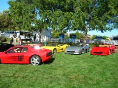 DSCN8134.JPG