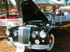 DSCN8319.JPG