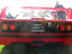 DSCN8131.JPG