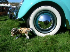 DSCN8323.JPG