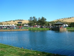 DSCN8377.JPG