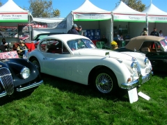 DSCN8267.JPG
