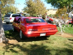 DSCN8351.JPG