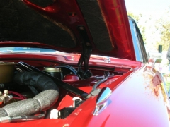 DSCN8282.JPG