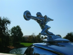 DSCN8214.JPG