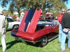 DSCN8196.JPG