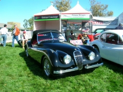 DSCN8266.JPG