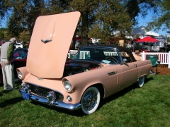 DSCN8195.JPG