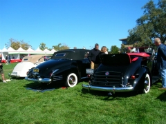 DSCN8233.JPG