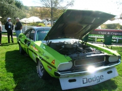 DSCN8194.JPG