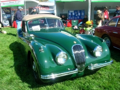 DSCN8268.JPG