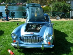 DSCN8262.JPG