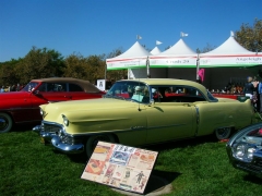DSCN8279.JPG