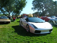 DSCN8132.JPG