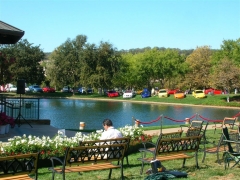 DSCN8215.JPG