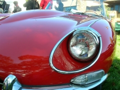 DSCN8304.JPG